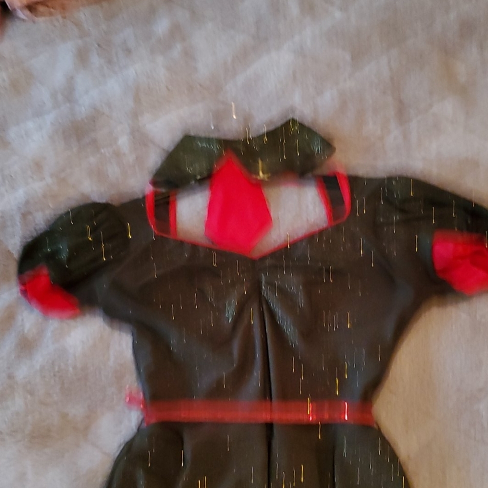 Dress - Picture 4 of 4